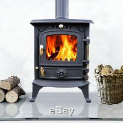 5.5KW High Efficient Cast Iron Log Burner Multifuel Wood Burning Stove CE JA013S
