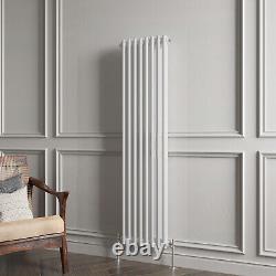 Cast Iron Style 2 3 Column Horizontal& Vertical Radiator With FREE Manual Valves