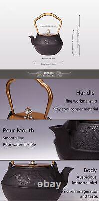 Copper Handle Boiling Water Teapots Tetsubin Cast Iron Bottle Japanese Style New