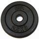 Fxr Sports Cast Iron 1 Weight Plates Hole Disc Dumbbell Barbell Weight Fitness
