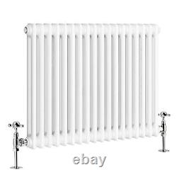 Horizontal Designer White Traditional Style Radiator 2 Column Cast Iron 600x830