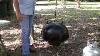 How To Season A Large Cast Iron Stew Pot Or Cauldron