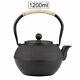 Japanese Iron Tea Pot with Stainless Steel Infuser Cast Iron Teapot Tea Kettle