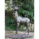 Large Lifesize Cast Iron Standing Stag Deer Looking Left Statue Garden Bronze