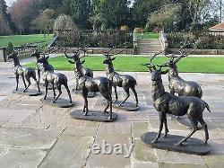 Large Lifesize Cast Iron Standing Stag Deer Looking Right Statue Garden Bronze