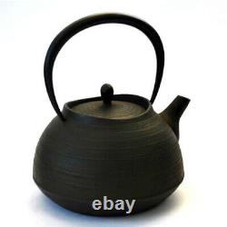 Nanbu Cast Iron Brush Mark Hakeme Pattern Japanese Tea kettle Pot form 0.6L New