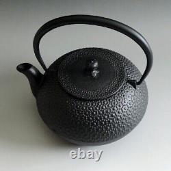 Nanbu Tetsubin Cast Iron New Kikko Pattern Japanese Tea kettle Pot 1.25L