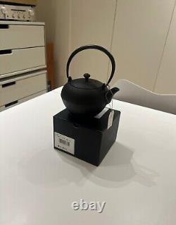 OIGEN Cast Iron Teapot Japanese Traditional Teapot Tetsubin Brand New