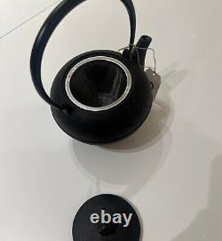 OIGEN Cast Iron Teapot Japanese Traditional Teapot Tetsubin Brand New