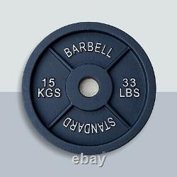 Old School Cast iron Weight Plates Fits Olympic Barbell 30 X 15kg (450kg)