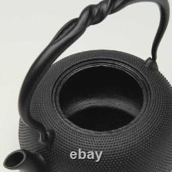 Tetsubin Japanese Tea kettle Pot Nanbu Cast Iron 0.8L New From Japan