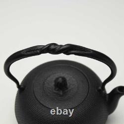 Tetsubin Japanese Tea kettle Pot Nanbu Cast Iron 0.8L New From Japan