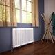 Traditional 2 3 Column Radiator Cast Iron Style Central Heating Rads With TRV