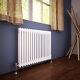 Traditional Cast Iron Radiator Double 2 Column Vertical Horizontal White Rads