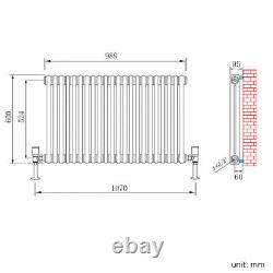 Traditional Radiator Cast Iron Style 2 Double Column Vintage Central Heating Rad