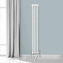 Traditional Radiator Vertical 1800x200mm 2 Column White Heating Cast Iron Rads