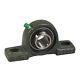UCPX18-56 Imperial Two Bolt Cast Iron Pillowwith 3-1/2 inch Bore Insert