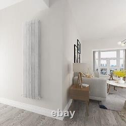 Vertical Horizontal Traditional 2 3 Column Radiator Cast Iron Style Rads Vintage