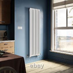 Vertical Radiator Double Column Traditional Cast Iron Vintage Tall Rads 1800x560